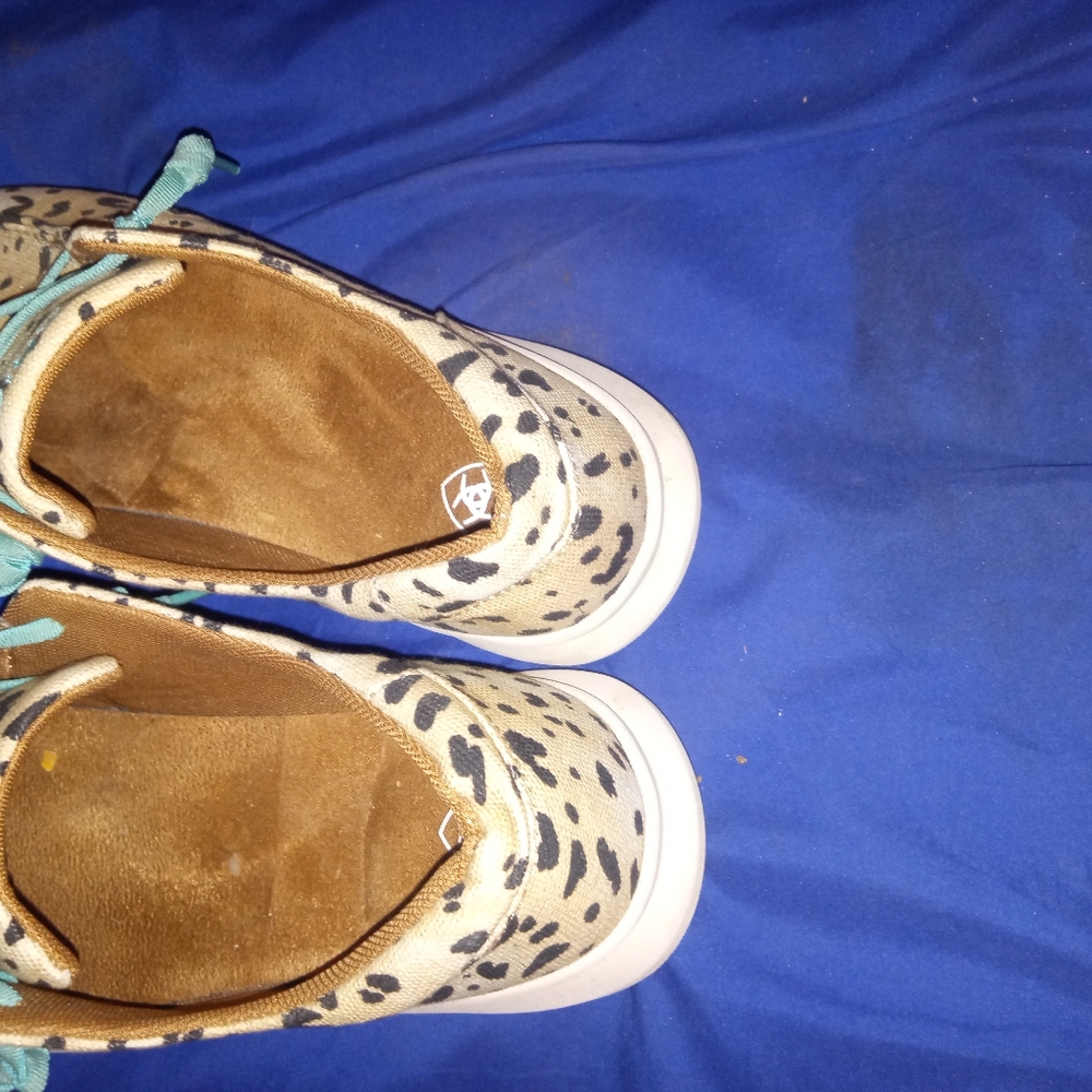 Ariat Shoes - Picture 2 of 8